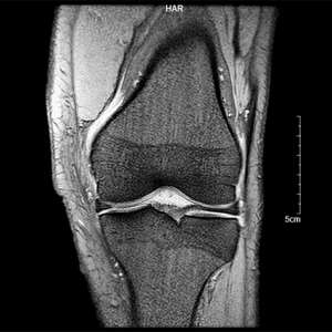 Clario Medical Imaging General Medicine